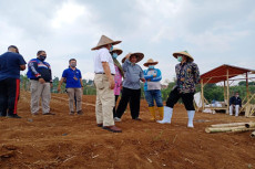Progres Program Padat...