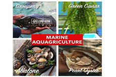 Marine Aquagriculture:...