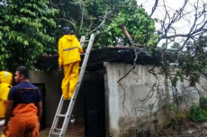 2 Rumah Warga di Kota...