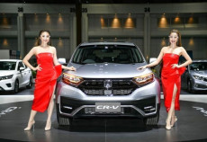 Analis : Sorry Indonesia,...