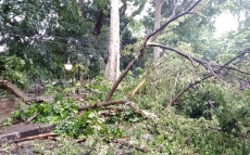 Berangkat Kerja, ASN...