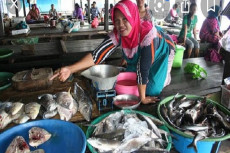 Pengembangan Pasar Sayur...