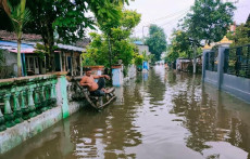 Lahan Terendam Banjir,...