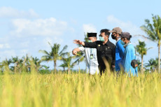 Atasi Stunting, Kementan...