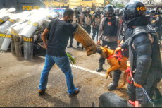 Pengunjuk Rasa Penolakan...
