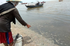 Rembang Mendadak Gempar,...