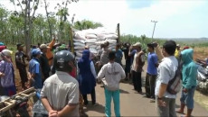Ratusan Petani di Tuban...