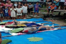 4 Penambang Emas Tradisional...