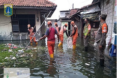 Banjir Rob Rendam Ratusan...