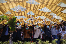 Di Tengah Pandemi COVID-19,...