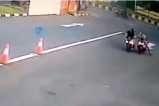Viral Bule di Bali Dijambret,...