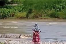 Lama Menghilang, Buaya...