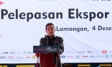 14 UKM Dapat Fasilitas...