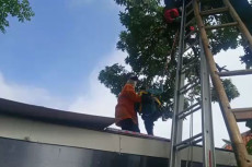 Pria Paruh Baya Ditemukan...