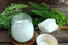 Resep Bikin Yogurt yang...