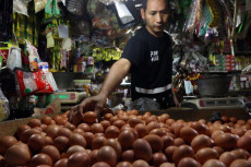 Harga Telur Naik, Sumbang...