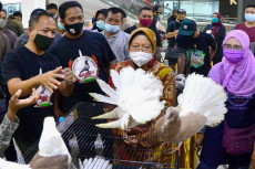 Santer Diisukan Jadi...