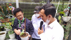 Mentan Kaget Harga Tanaman...