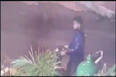 Di Bawah Guyuran Hujan...