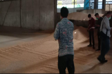 Harga Kedelai Meroket,...