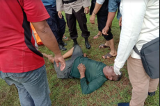 Mencari Rumput untuk...