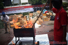BNNP Sulsel Musnahkan...