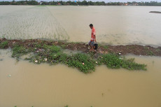 Petani Bintan Diajak...