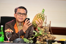 Gubernur Sulsel: Melawan...