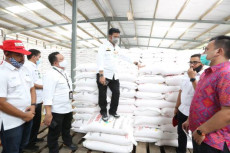 Alokasi Pupuk Subsidi...