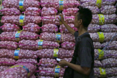 Harga Bawang Putih Mau...