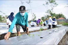 Tingkatkan Ketahanan...