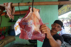 Kementan Upayakan Ketersediaan...