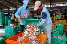 Dampak Cuaca Buruk,...