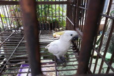 Warga Serang Serahkan...