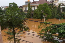 Bayi 6 Bulan, Balita,...