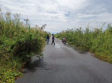 Memprihatinkan! Jalan...