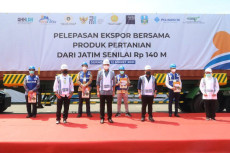 Mentan, Mendag dan Menteri...