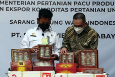 China Doyan Sarang Burung...