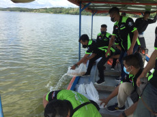 Tebar Bibit Ikan Nila...