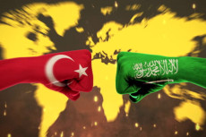 Alasan Politik, Arab...