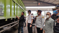 Tegas! Kemenhub Mutilasi...