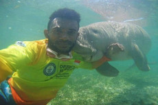 Di Pesisir Pulau Halmahera...