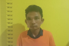 Pekanbaru Gempar, Mekanik...