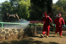 16-17 Mei Ancol, TMII,...