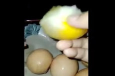 Viral Video Telur Palsu...