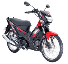 Honda Hadirkan Ayam...