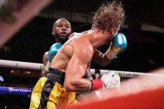 Floyd Mayweather Jr...