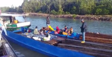 2 Kapal Pengangkut Kayu...