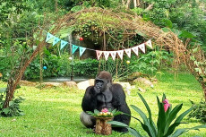 Taman Margasatwa Ragunan...