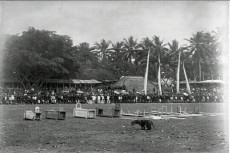 Rampogan Macan-Sima...